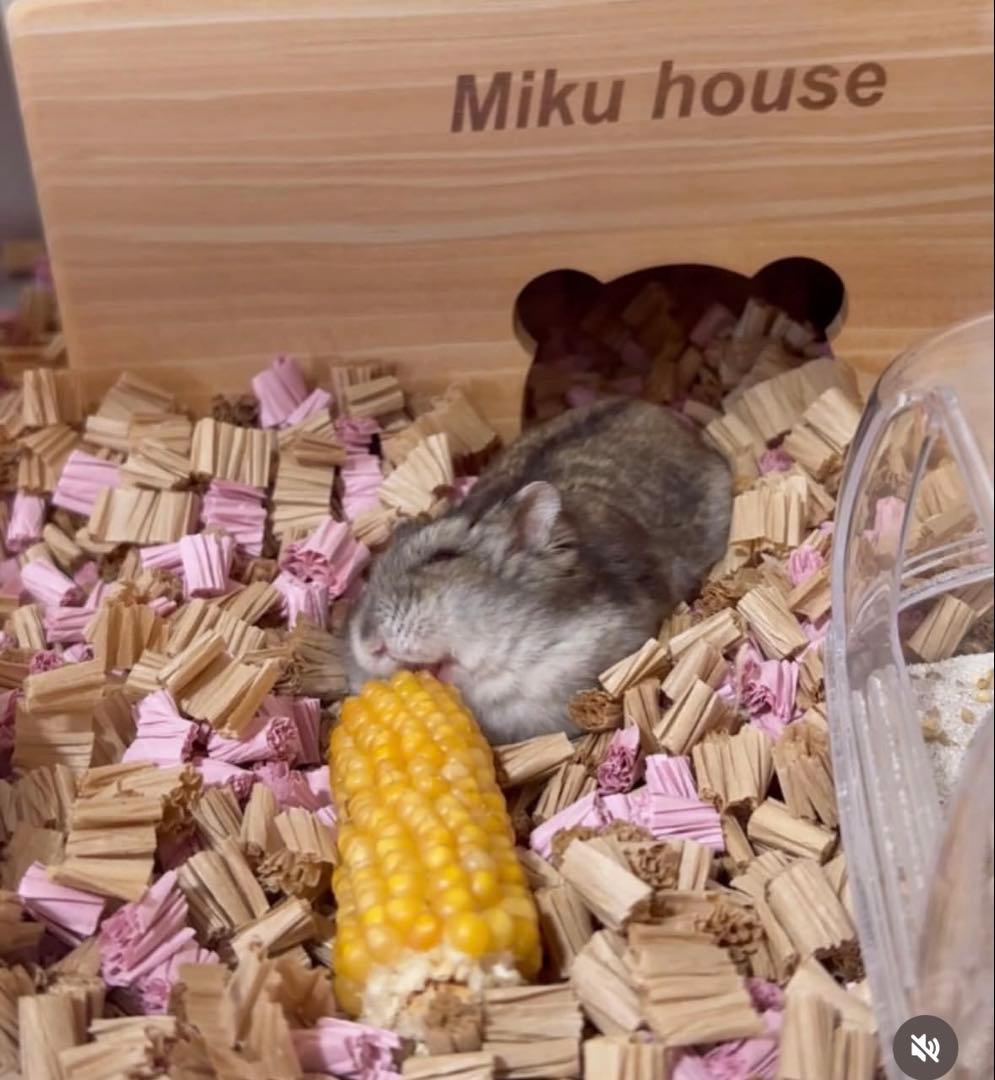 はーやんふぁむページ グラスハーモニー600 Nカジカジカミカミ防止ロフト