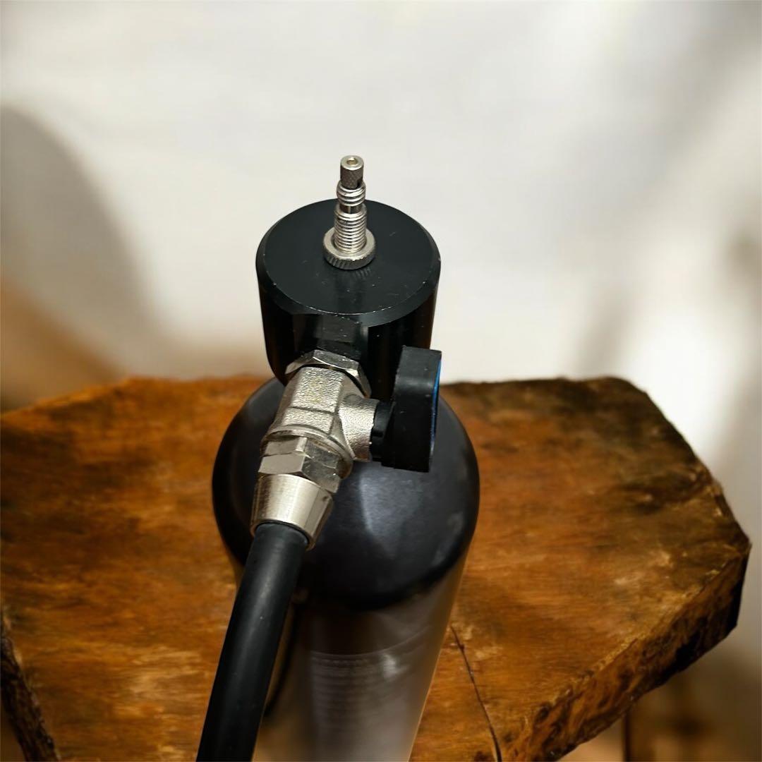 SCHWALBE ( シュワルベ ) ボンベ タイヤブースター