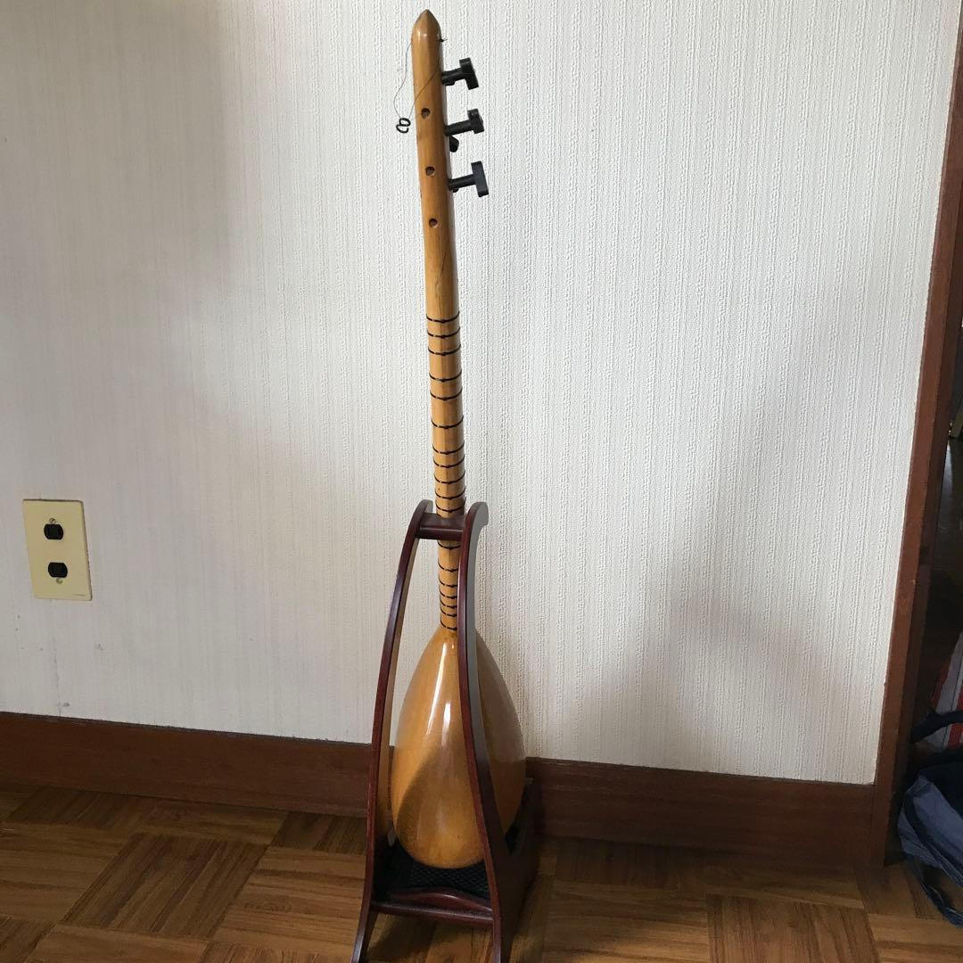 外国の撥弦楽器