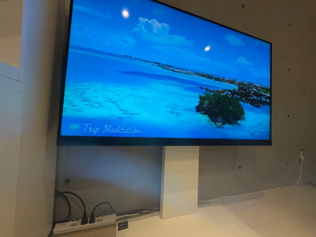 REGZA4K液晶テレビ（たら）