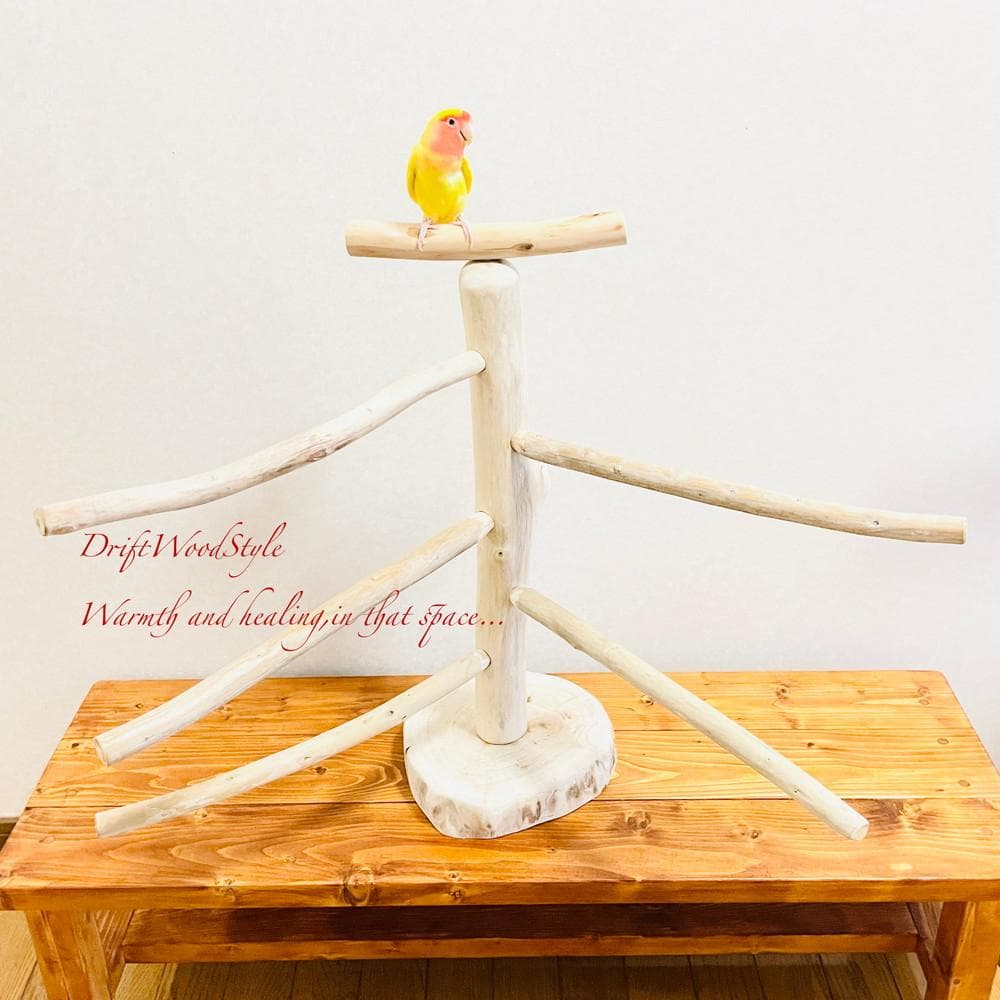 取り外しできる天然流木の止まり木 Lサイズ スタンド 木製 インコ N1
