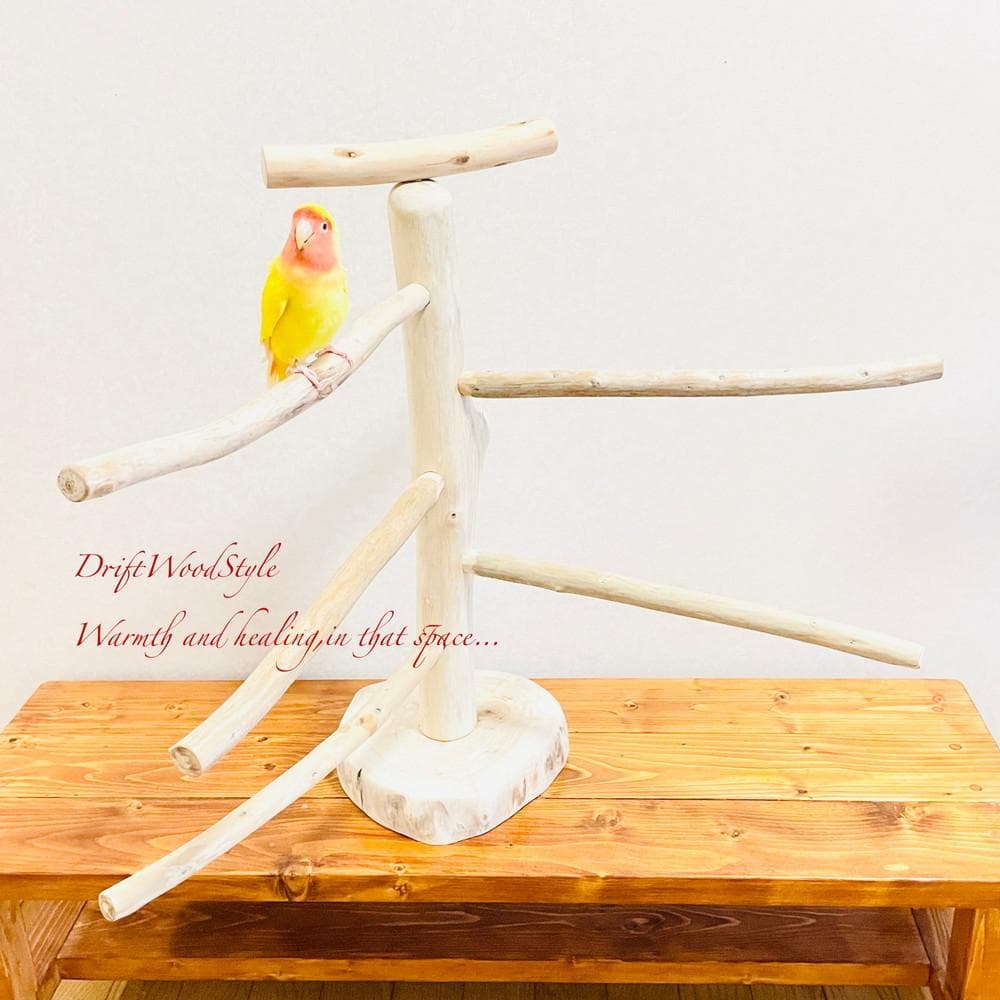 取り外しできる天然流木の止まり木 Lサイズ スタンド 木製 インコ N1