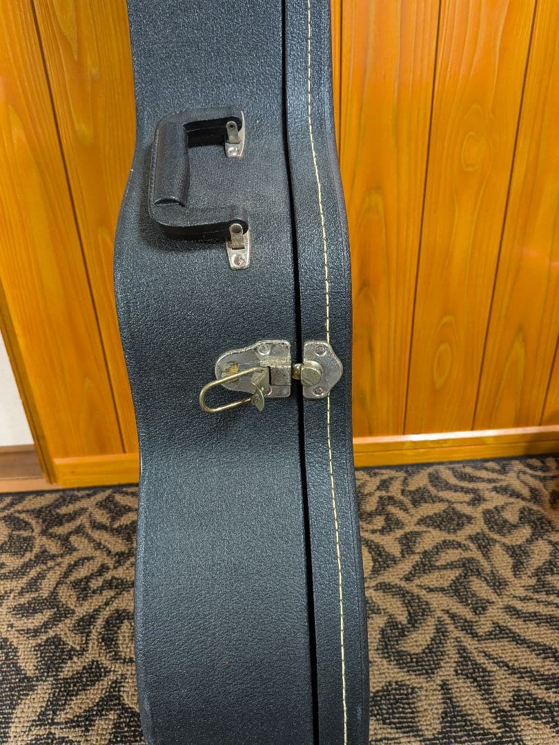 Larrivée アコースティックギター 6弦