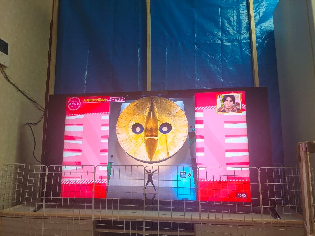 SONY BRAVIA 55型 液晶テレビ