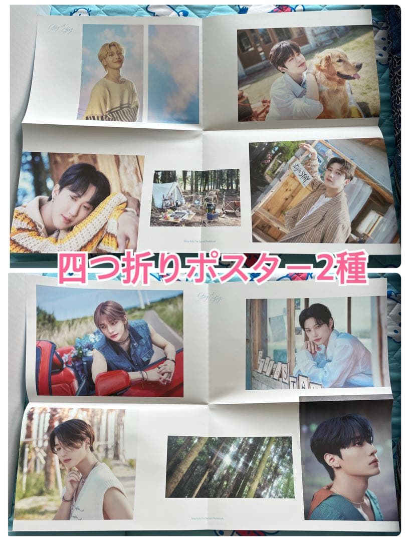 Stray Kids スキズ 'Stay in STAY' in JEJU