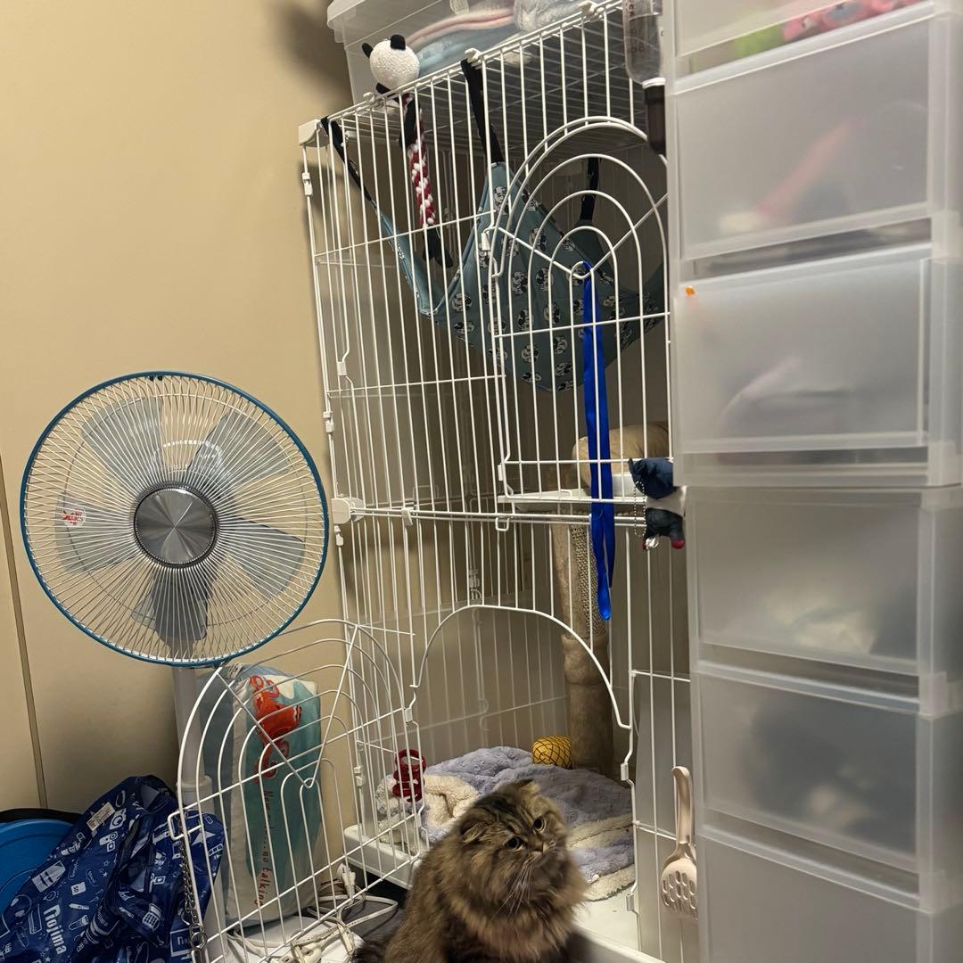 【美品】アイリスプラザ 猫 オリジナルペットケージ 2段 ホワイト