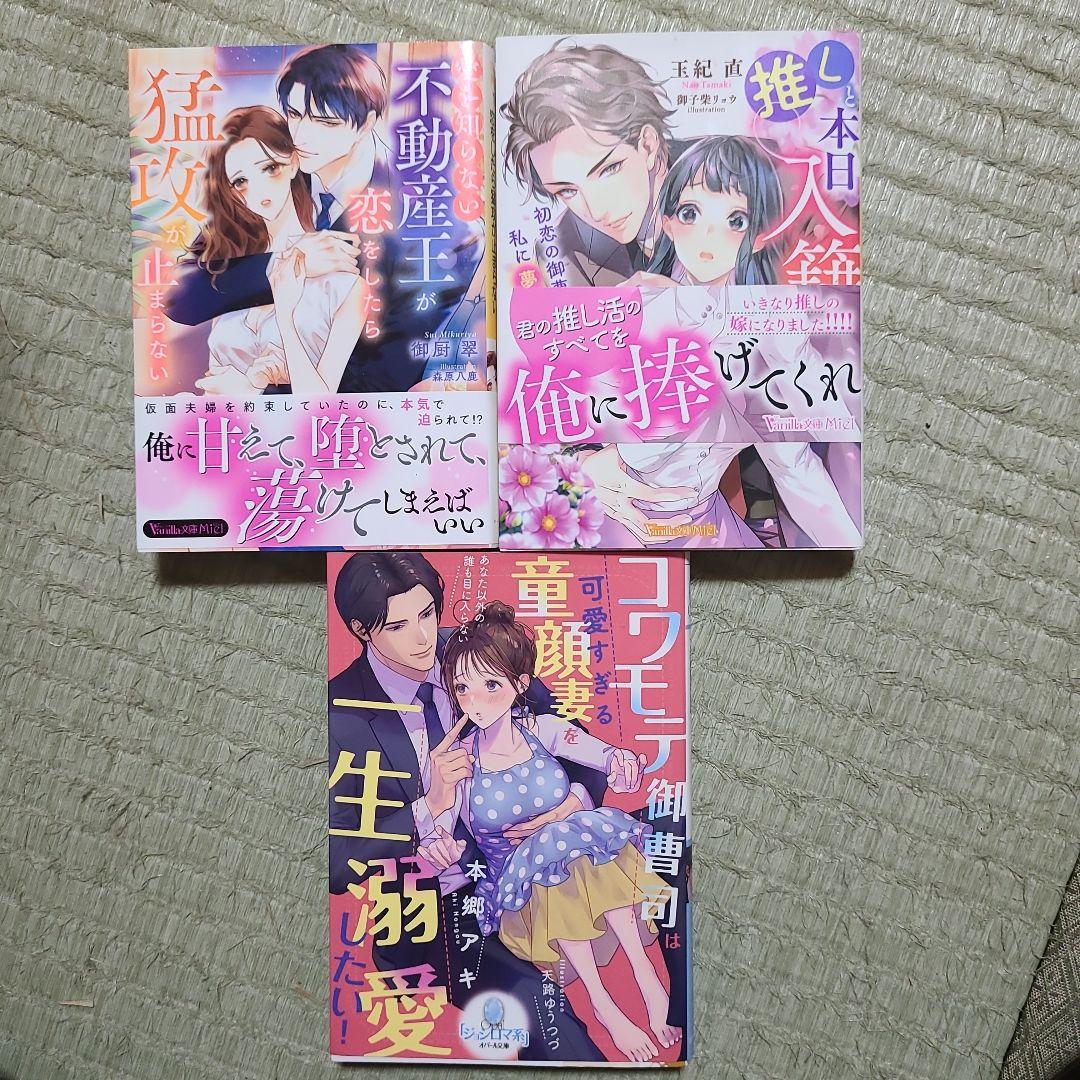 離縁を申し出たのは善意です ～白い結婚三年目、絶倫騎士団長な夫の重たい執愛に囚…