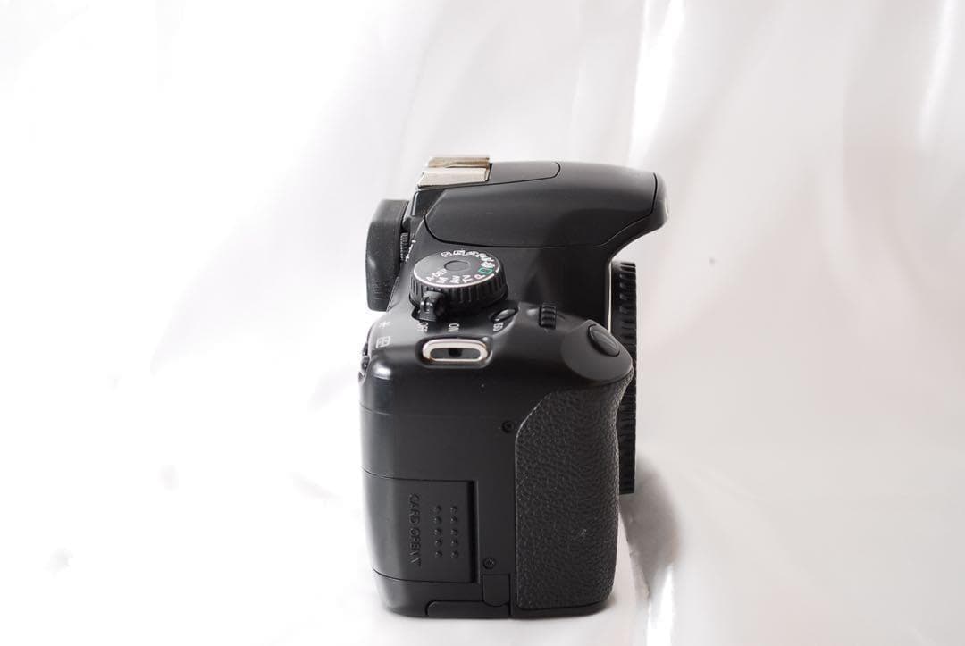 届いたらすぐ撮影できる✨　Canon kiss x2 レンズセット　軽量