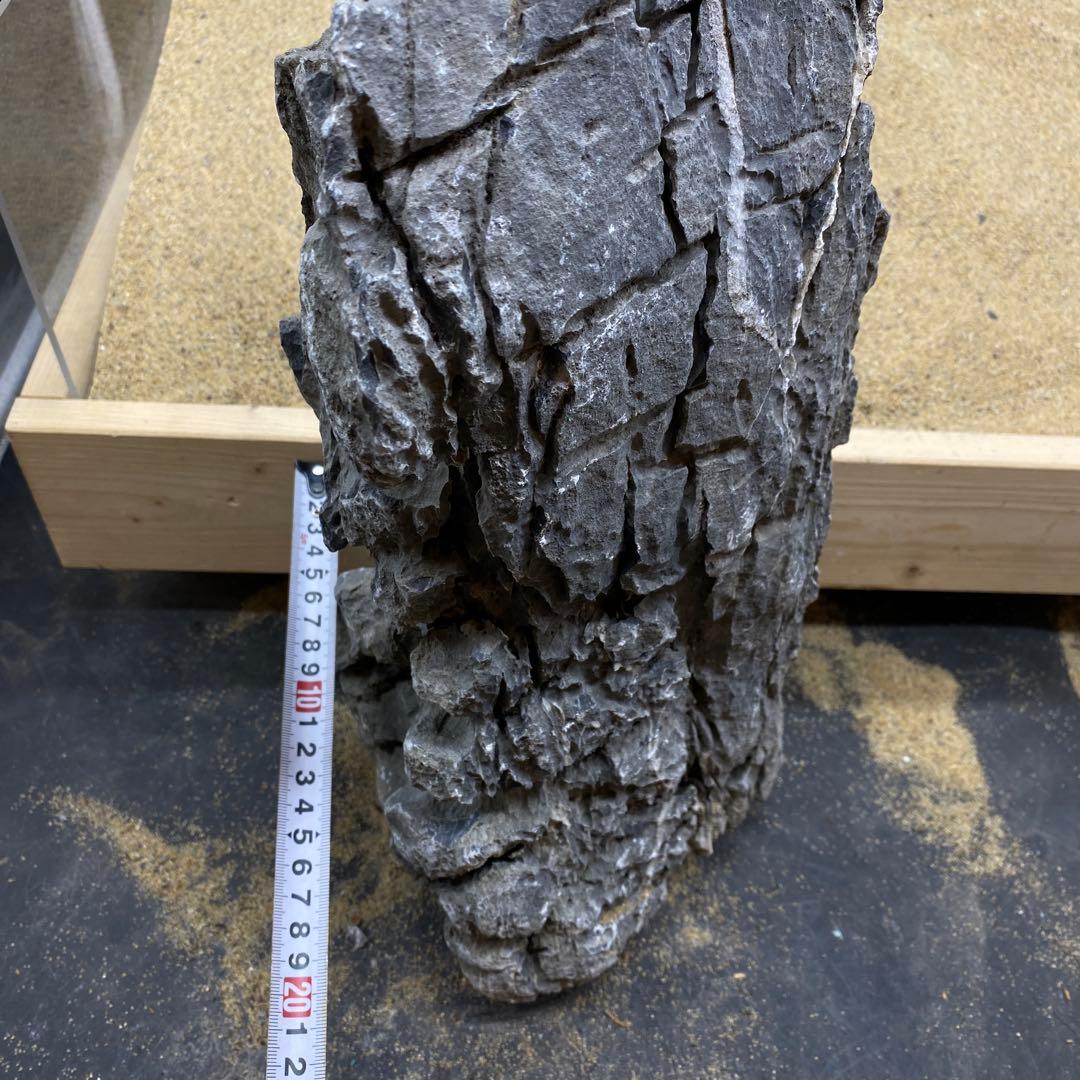 MSS-6612 セレクト品青龍石47cm親石　龍王石　竜王石