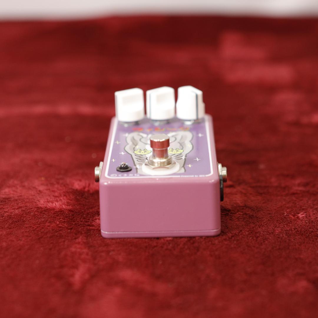 【9000】 フィジーク 仕事猫 エフェクター くまみね