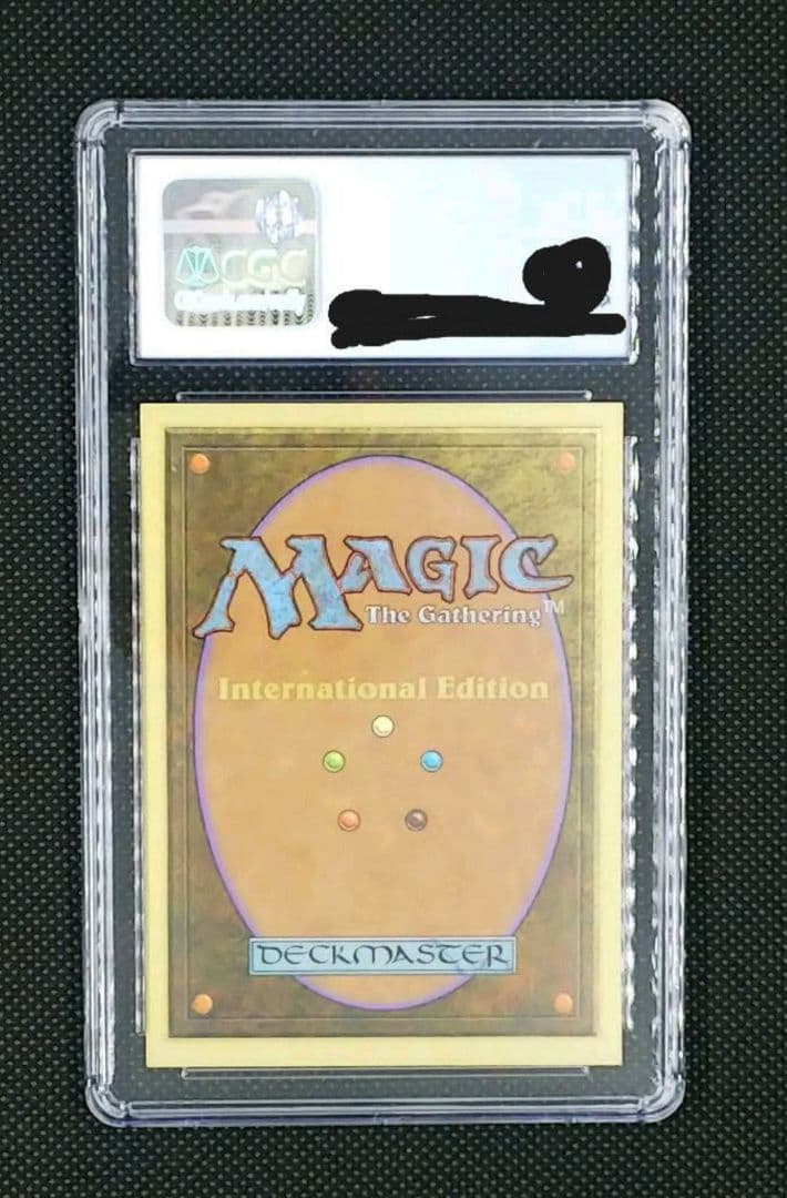 MTG Bayou 【IE】鑑定