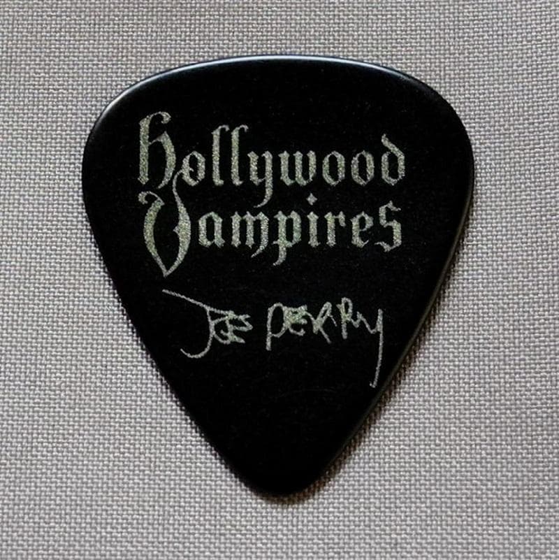 Aerosmith エアロスミス Joe Perry 2018 ギターピック