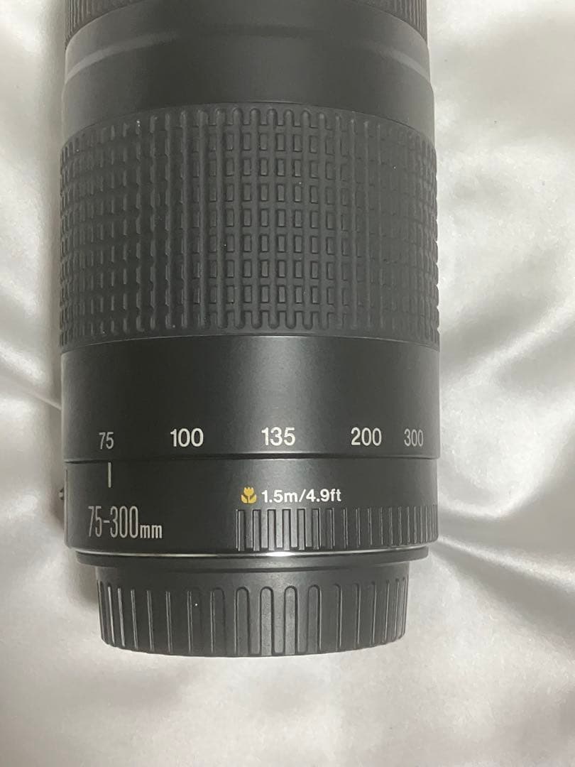 Canon EF 75-300mm F4-5.6 II キャノン 望遠レンズ