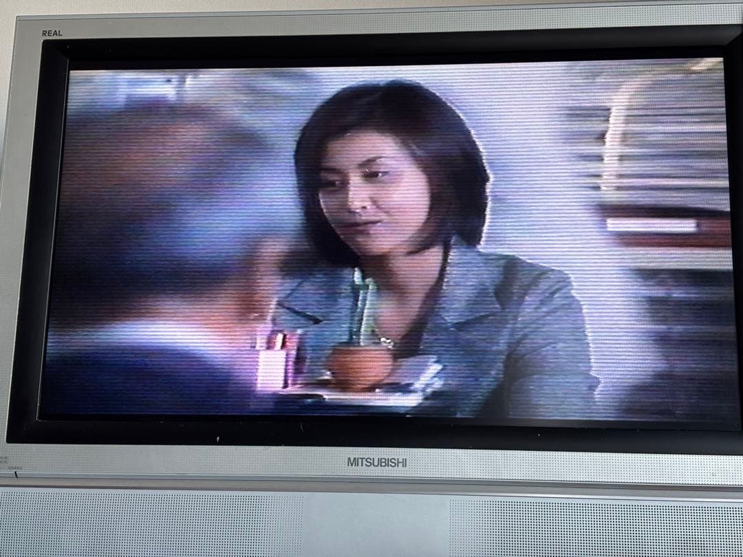 日立 8ミリビデオカメラ Hi-8 VM-E310 単3乾電池対応 動作確認済み