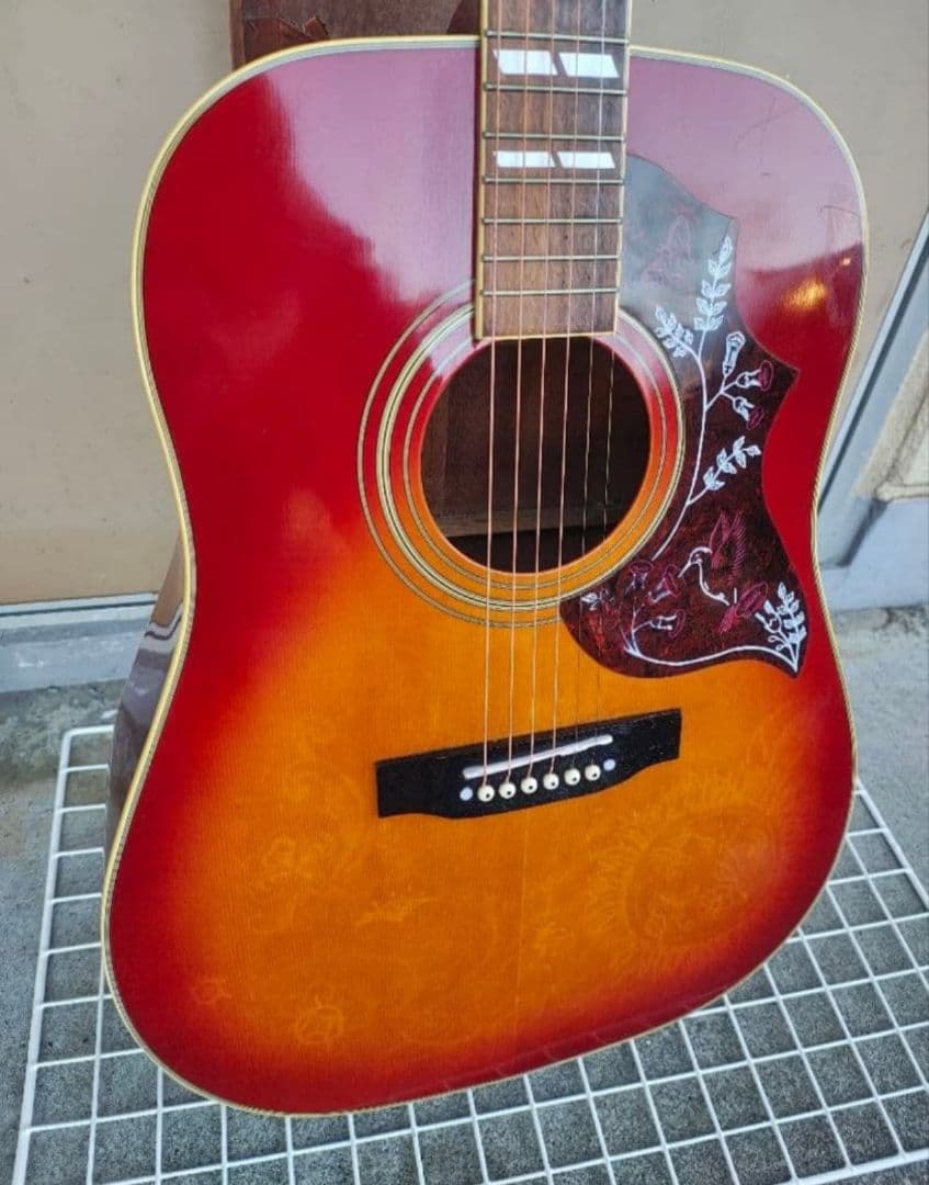 美品 Hummingbird PU付エレアコ G社シール２枚 USAストラップ