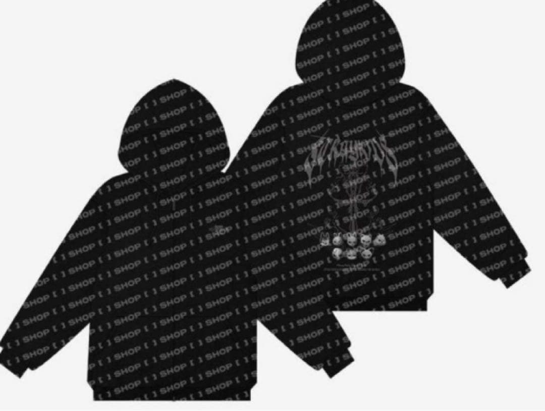 Stray Kids スキズ　dominATE 闇 ZOOフーディー