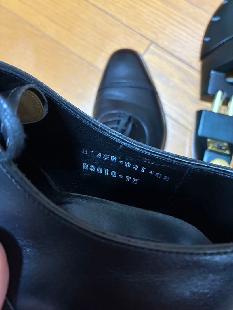 【ツリー込み】三陽山長　勇也　7.5 25.5