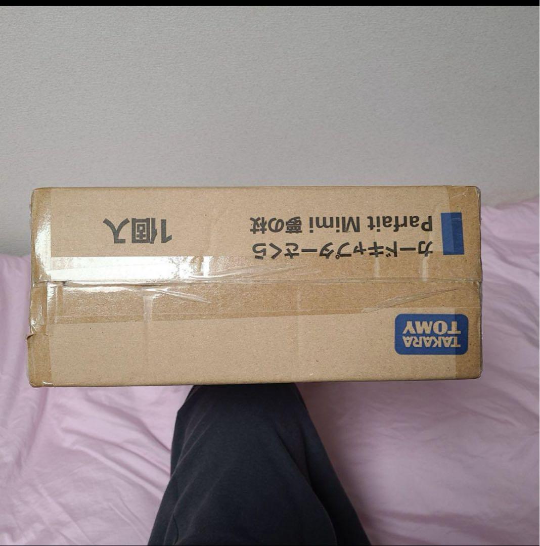 カードキャプターさくら 夢の杖 1/1