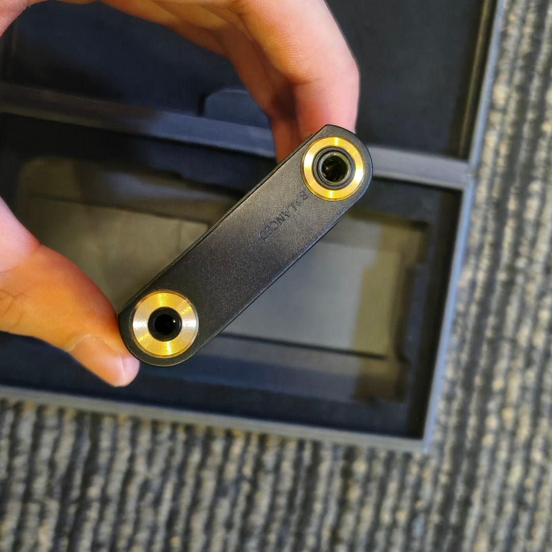 ソニー ウォークマン NW-ZX507