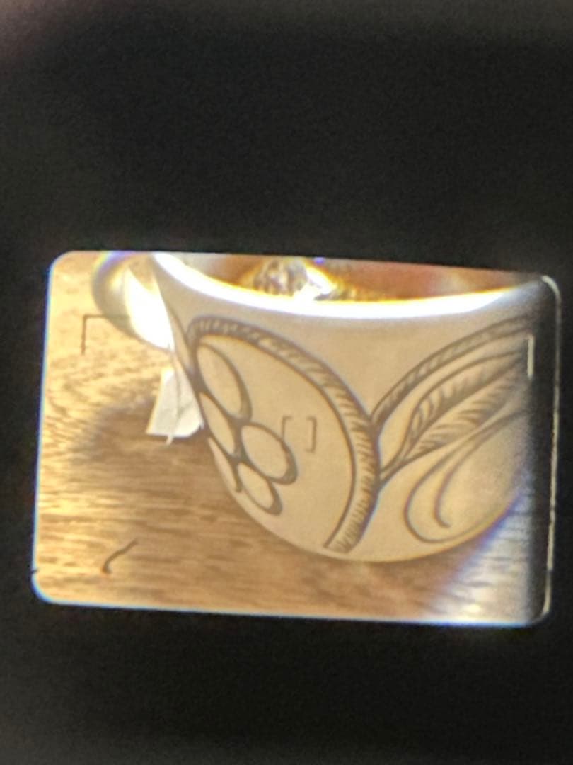 Fujifilm NATURA CLASSICA コンパクトカメラ