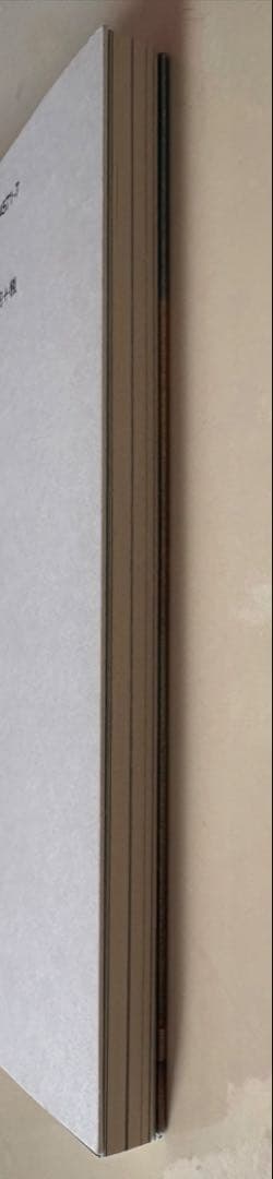 「見上げれば雲か」 天野滋