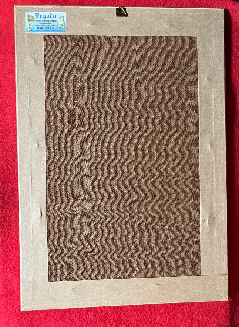 ニャンドゥティ伝説織　額縁入り12輪の白いお花　珍しい　レース　刺繍