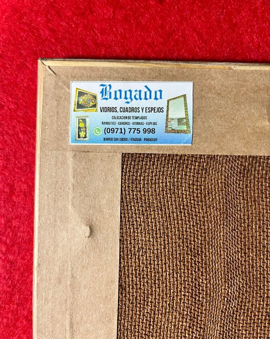 ニャンドゥティ伝説織　額縁入り12輪の白いお花　珍しい　レース　刺繍