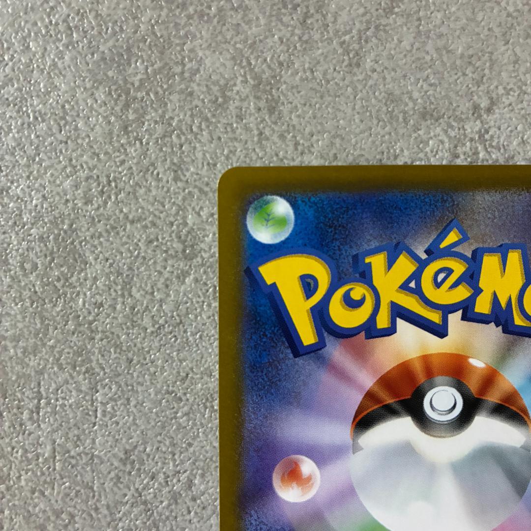 ブラッキーex SAR テラスタルフェス