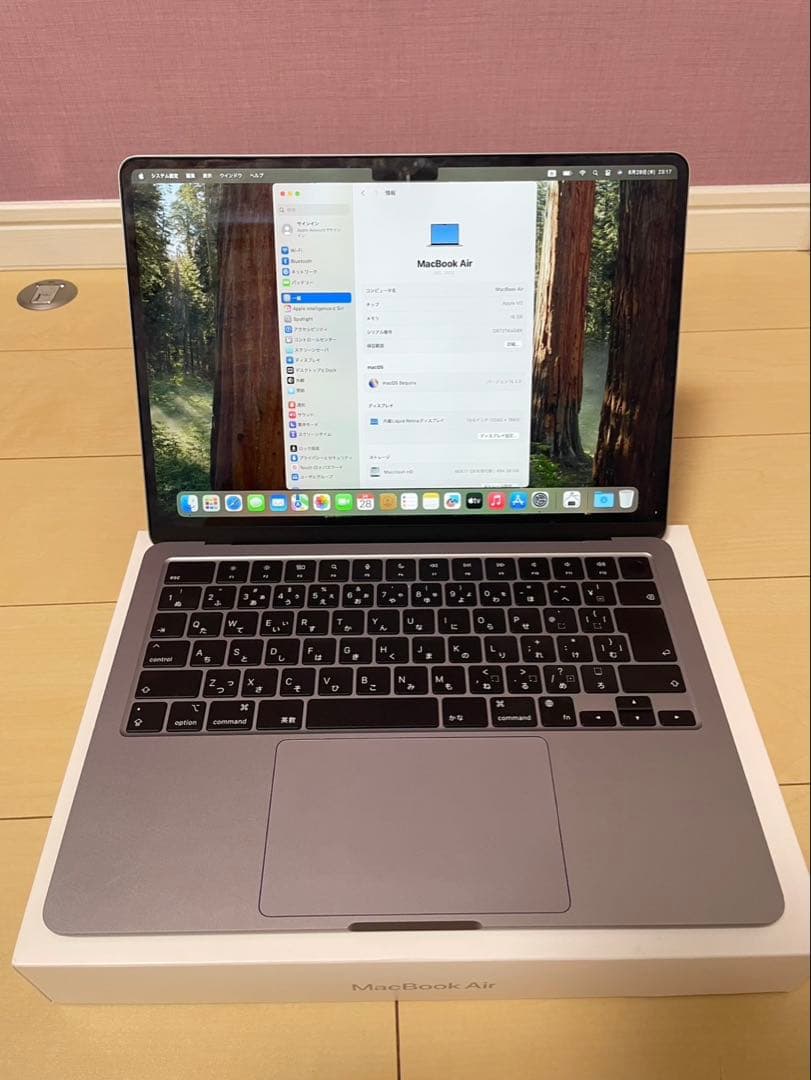 【美品】MacBook Air 本体　M2 16GB