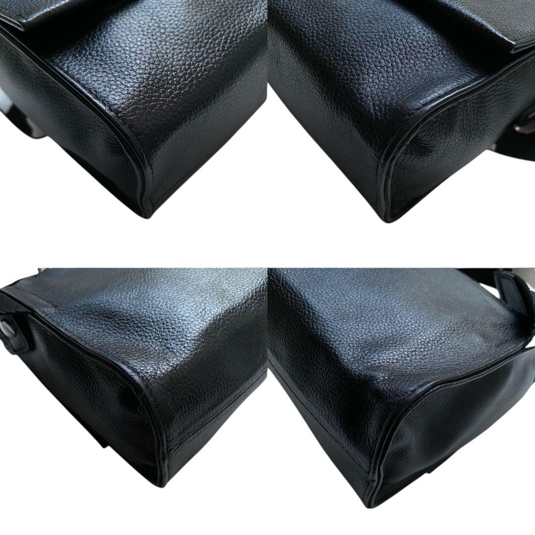 ear イアパピヨネ【美品】ダルメシアン ワイド ショルダーバッグ