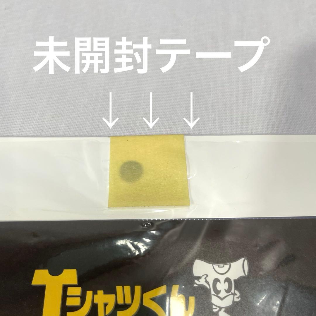 【新品未使用品】Horizon Tシャツくん スクリーンプリントキット希少カラー