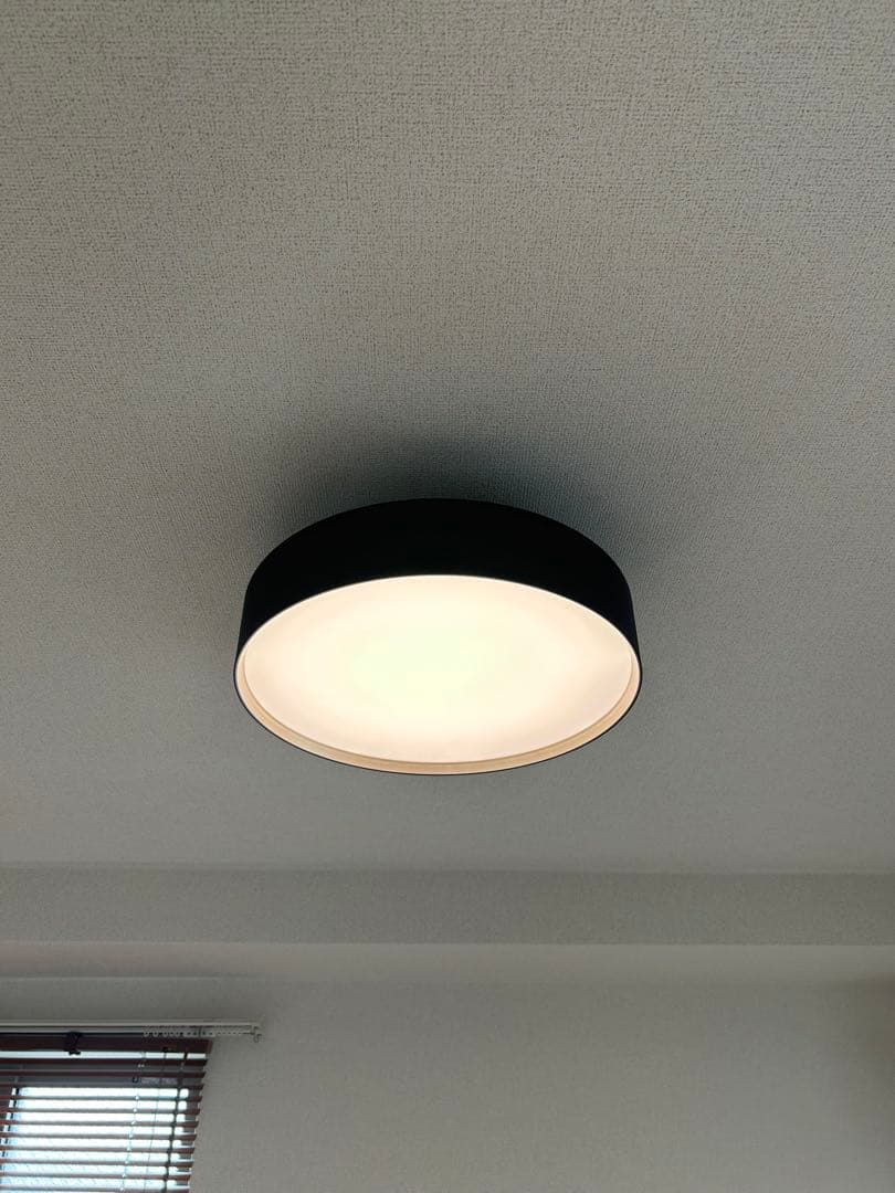 ARTWORKSTUDIO シーリングライト