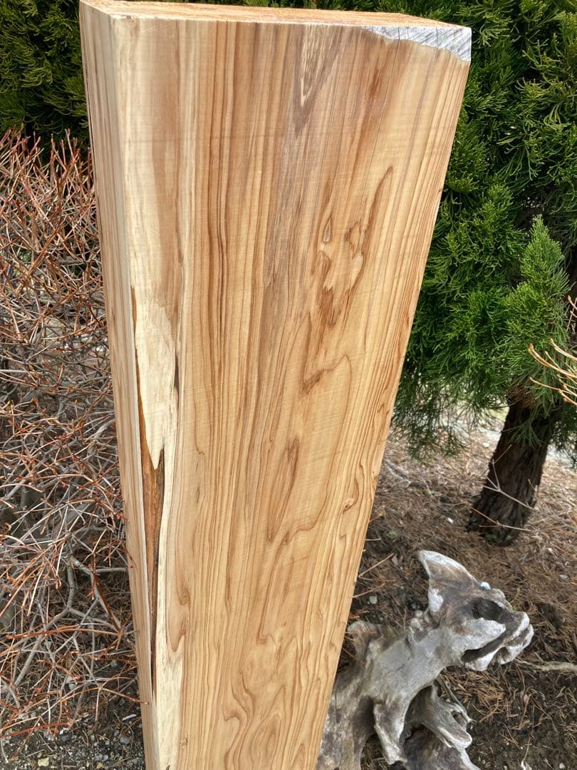 乾燥済み　北海道　イチイ　オンコ　一位　材料　106×20×7cm