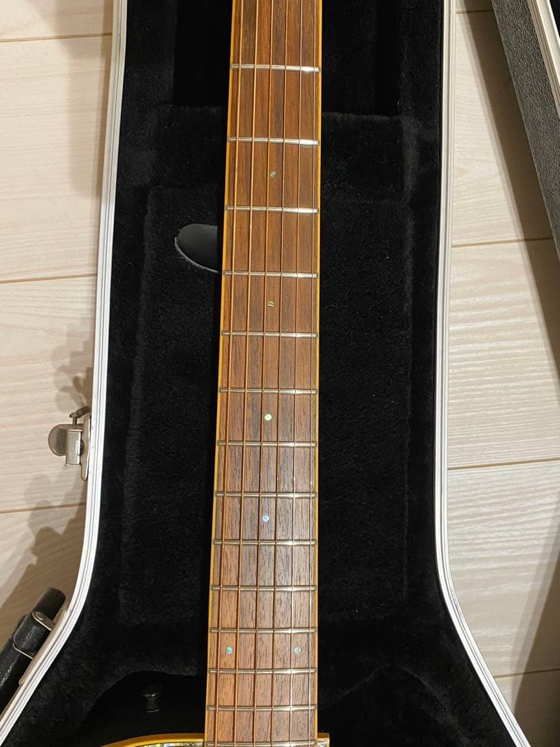 Ovation Celebrity CC44 アコギオベーション純正ハードケース