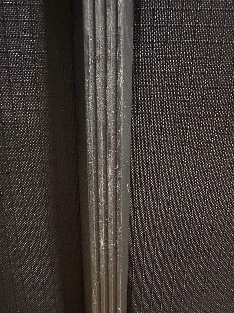 patagonia キャリーケース　ブラックホール　ダッフル 100L