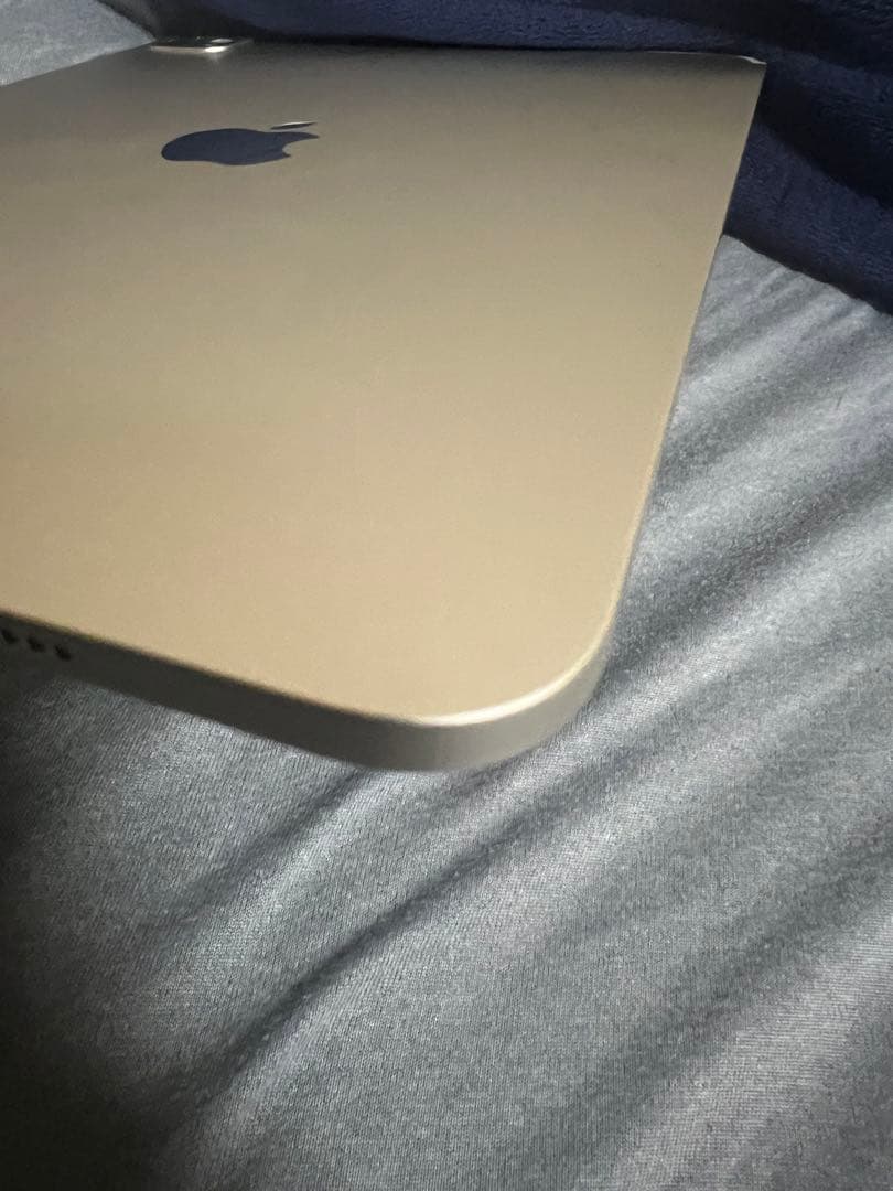 iPad Pro11 インチ 五世代 最新 M4 Wi-Fi 256GB