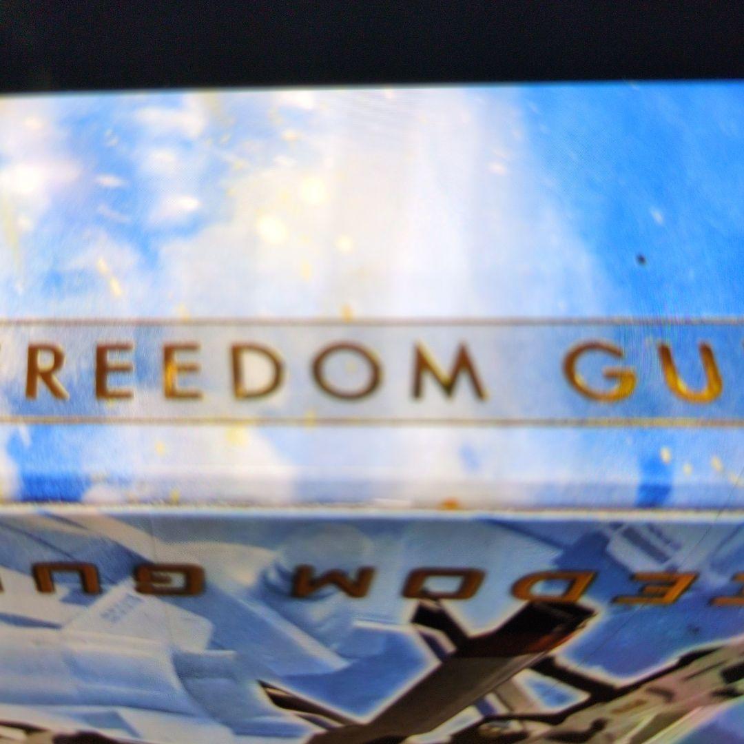 メタルロボット魂。ライジングフリーダムガンダム。