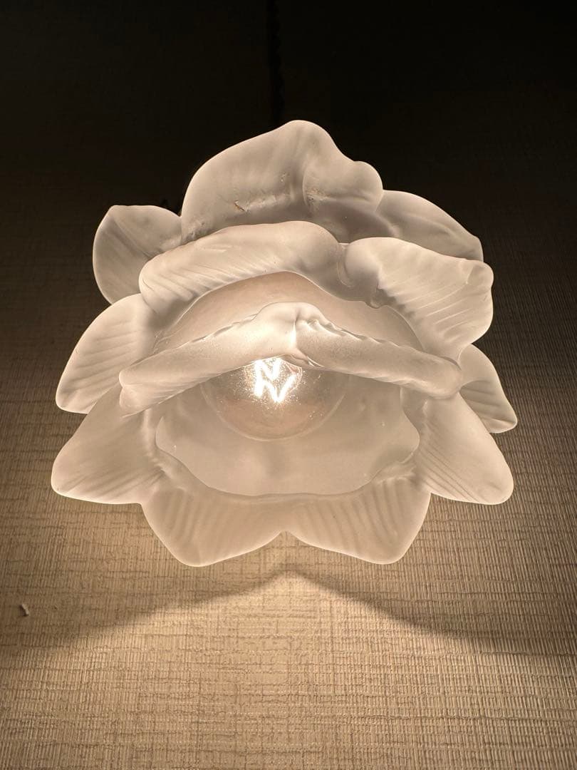 1920年代 フランス アンティーク アプリカシオン 可愛い薔薇のアトリエランプ