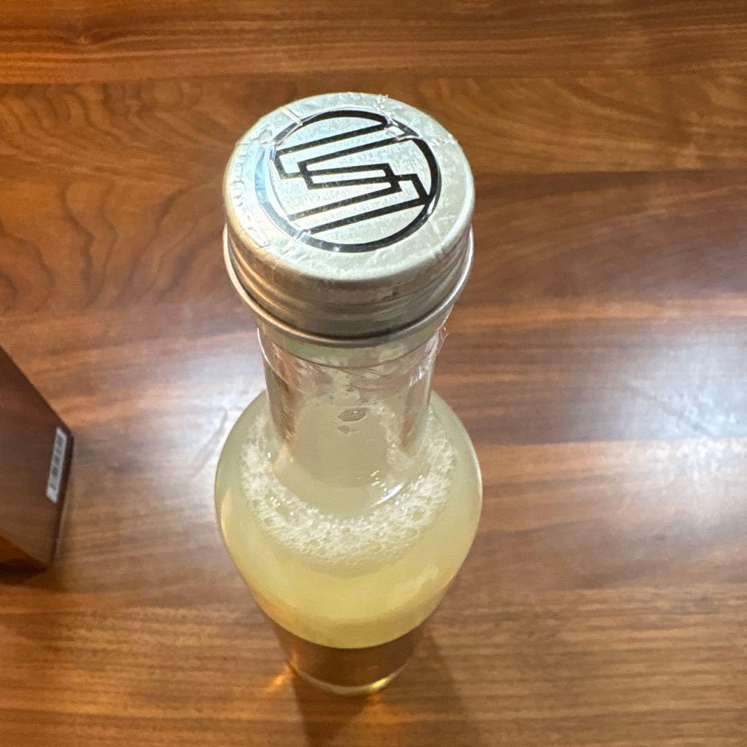 SPASHAN 2024s 新品未開封　スパシャン