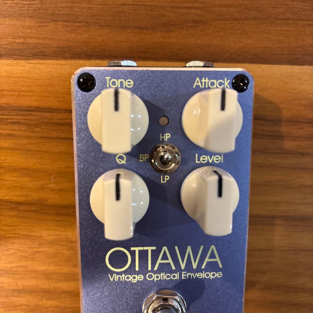 Carl Martin OTTWA オートワウ