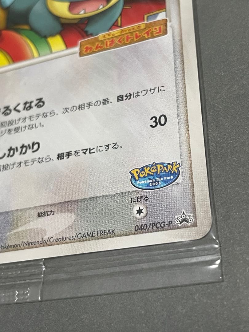 ポケパークのゴンベ 未開封 プロモ 049/PCG-P