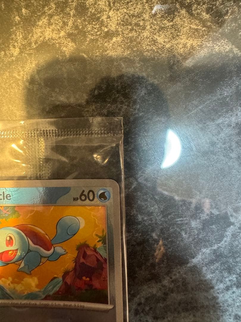 【未開封】ゼニガメ マスターボールミラー 大会プロモ 海外限定 御三家