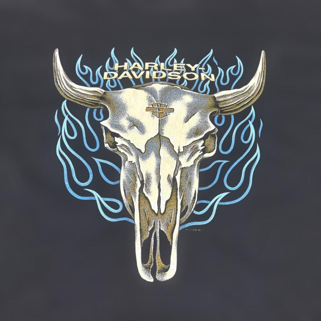 harley davidson バッファロースカル　90s ブルーフレイム