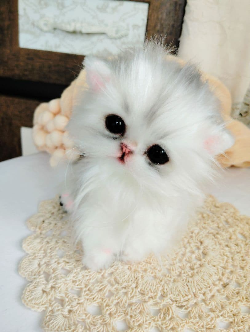 チンチラシルバー♡子猫のくるみちゃん♡アートドール♡ぬいぐるみ♡