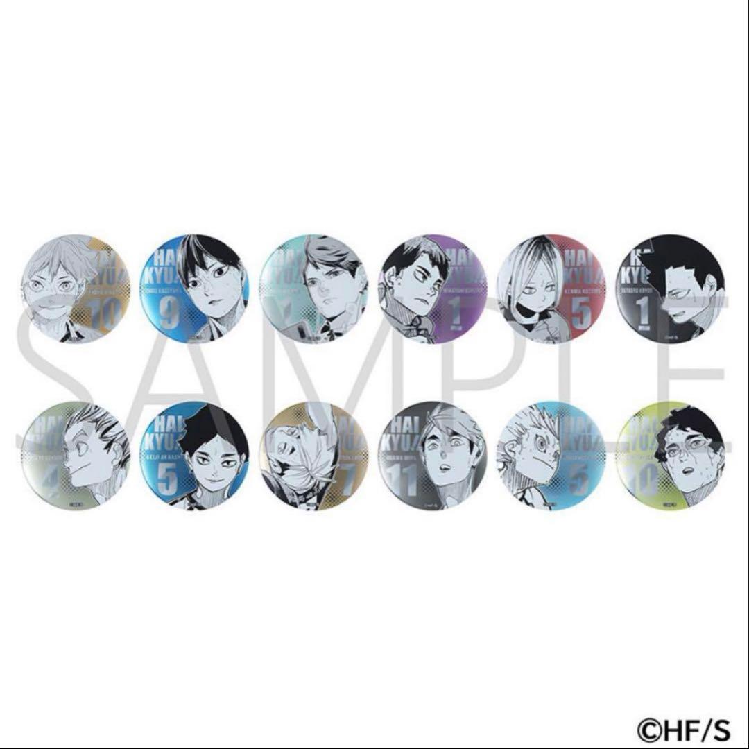 ハイキュー　ファンパーク　るんるんバザール　デコレクション缶バッジ　第3弾