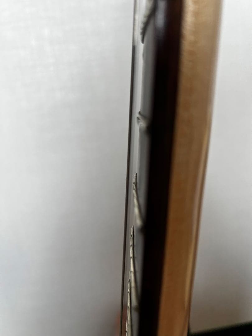 ギター SCHECTER MZ1 See-thru Blue