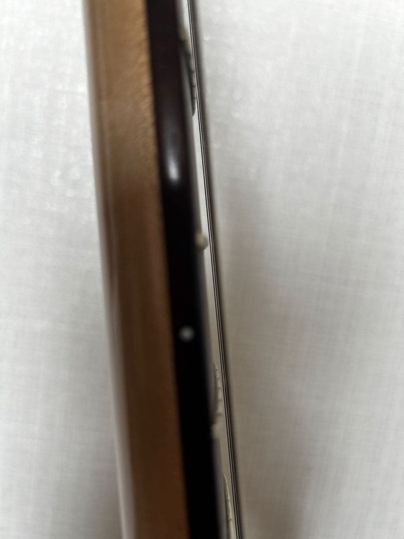 ギター SCHECTER MZ1 See-thru Blue