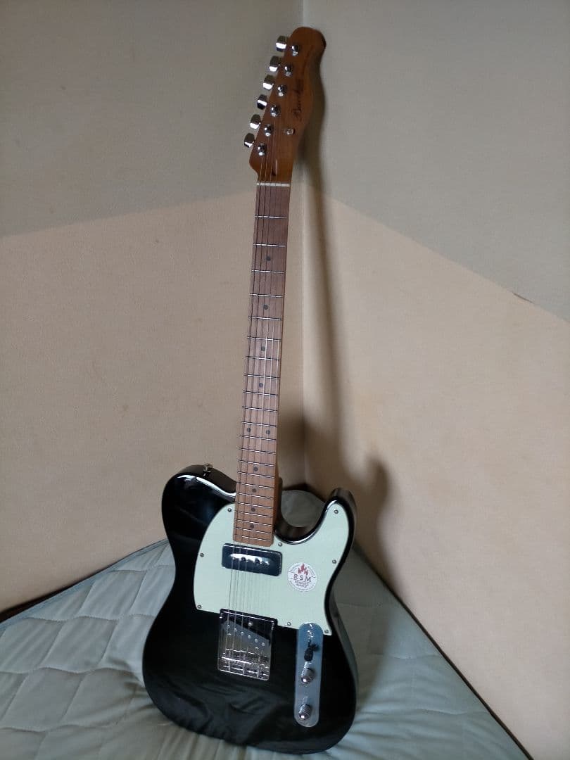 【美品】Bacchus BTE-2-RSM バッカス テレキャスタータイプ