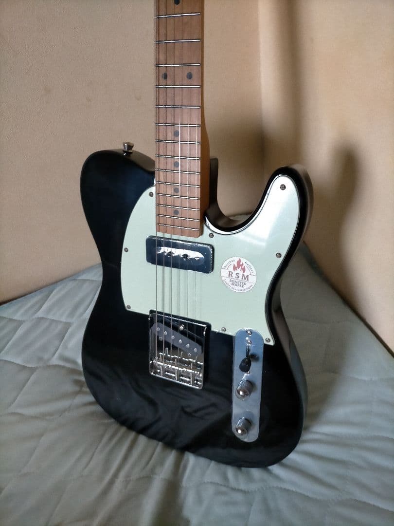 【美品】Bacchus BTE-2-RSM バッカス テレキャスタータイプ