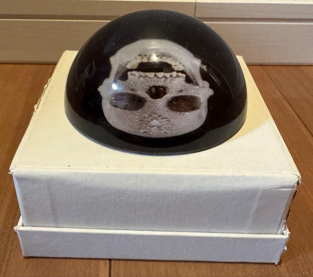 Damien Hirst ダミアンハースト　ペーパーウェイト